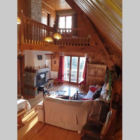 בסה-א-סנט-אנסטאיס Authentique Chalet Vue Sur Le Lac Et Les Pistes מראה חיצוני תמונה