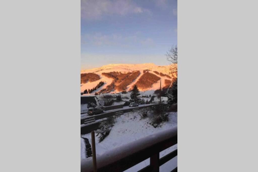 בסה-א-סנט-אנסטאיס Authentique Chalet Vue Sur Le Lac Et Les Pistes מראה חיצוני תמונה