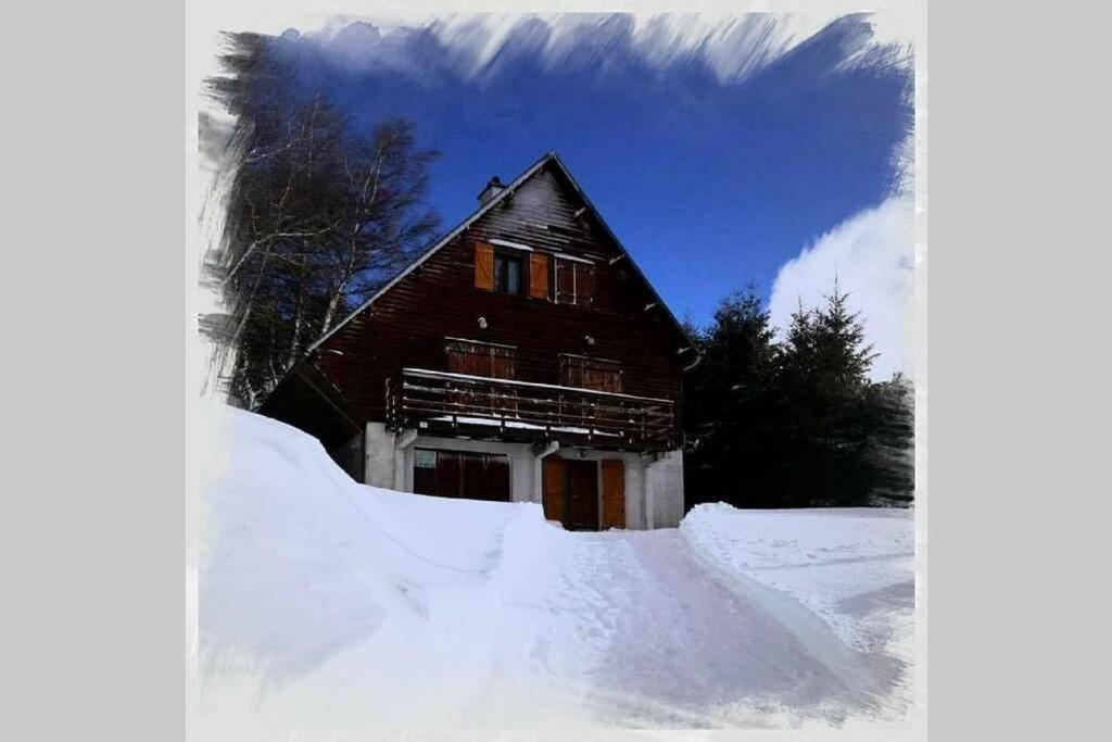 בסה-א-סנט-אנסטאיס Authentique Chalet Vue Sur Le Lac Et Les Pistes מראה חיצוני תמונה